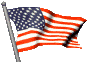 United States of America Flag
