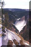 Lower Falls of the Yellowstone River