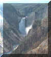 Lower Falls of the Yellowstone River