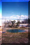 Pool at West Thumb Geyser Basin  - Yellowstone National Park