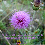 Bible Verse wallpaper