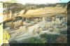 Mesa Verde Cliff Dwellings