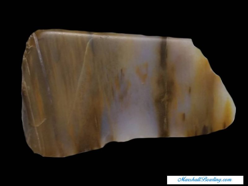 Petrified Wood - Agatized